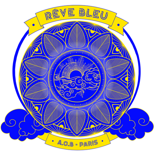 LA ROBE T-SHIRT "RÊVE BLEU"