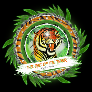 LE T-SHIRT MANCHES LONGUES "THE EYE OF THE TIGER"