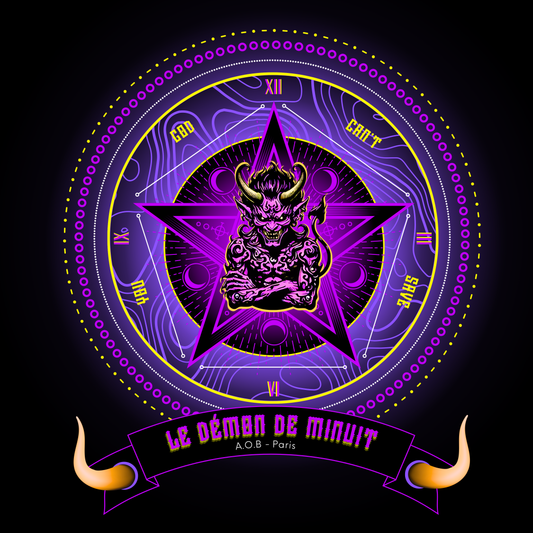 LE T-SHIRT MANCHES LONGUES "LE DÉMON DE MINUIT"