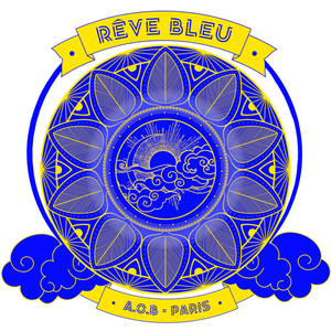LA ROBE T-SHIRT "RÊVE BLEU"