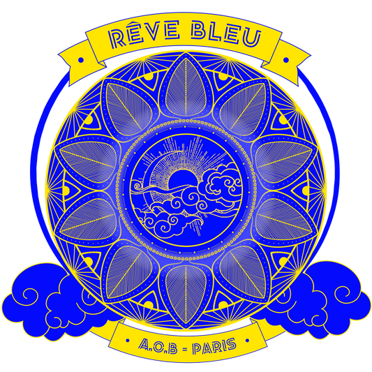 LE T-SHIRT MANCHES LONGUES "RÊVE BLEU"