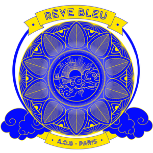 LE SWEAT "RÊVE BLEU"